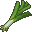 leek