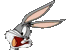 rabbitoid