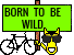 Born to be Wild!